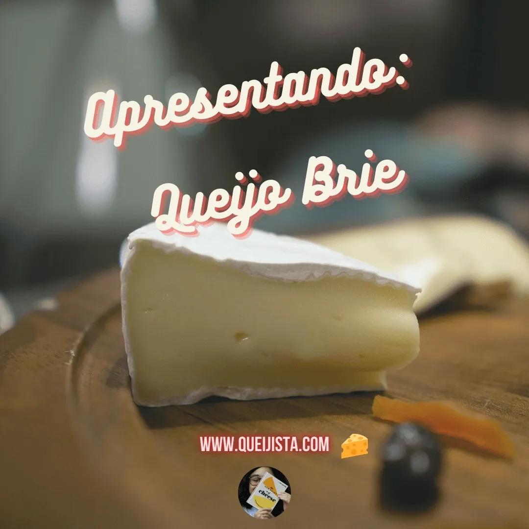 Fatia de queijo brie