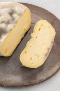 queijo com a casca com mofo cinza selvagem
